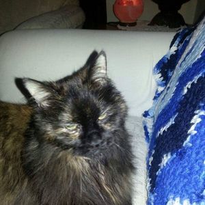 Meet your Posher, Renate